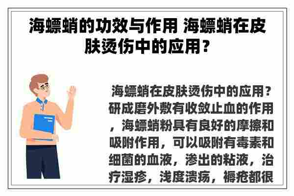 海螵蛸的功效与作用 海螵蛸在皮肤烫伤中的应用？